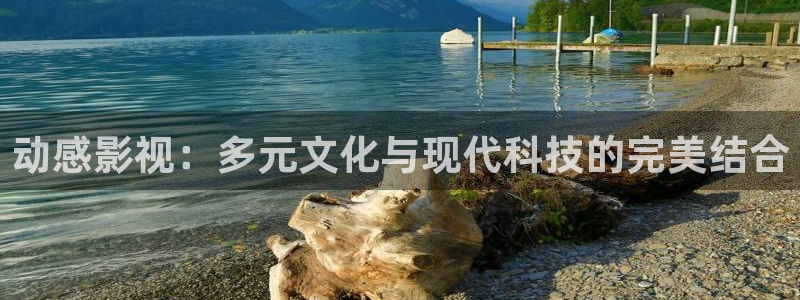 大地影院资料：动感影视：多元文化与现代科技的完美结合