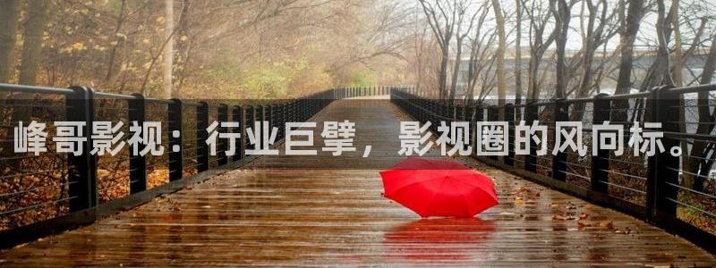 大地影院资源网：峰哥影视：行业巨擘，影视圈的风向标。