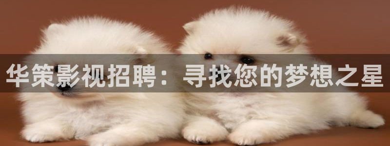 大地电影城今日影讯：华策影视招聘：寻找您的梦想之星