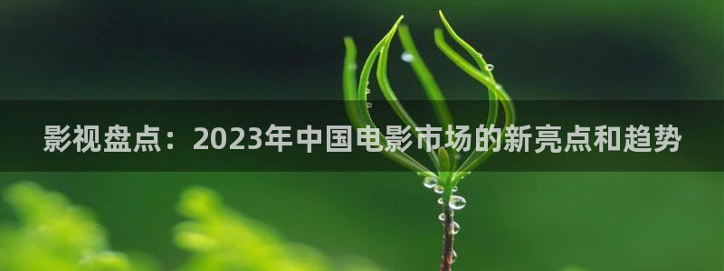 大地影视最全更新最快影院：影视盘点：2023年中国电影市场的新亮点和趋势