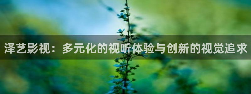 大地高清在线电影：泽艺影视：多元化的视听体验与创新的视觉追求