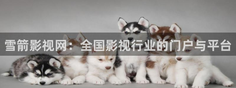 大地资源在线免费看：雪箭影视网：全国影视行业的门户与平台