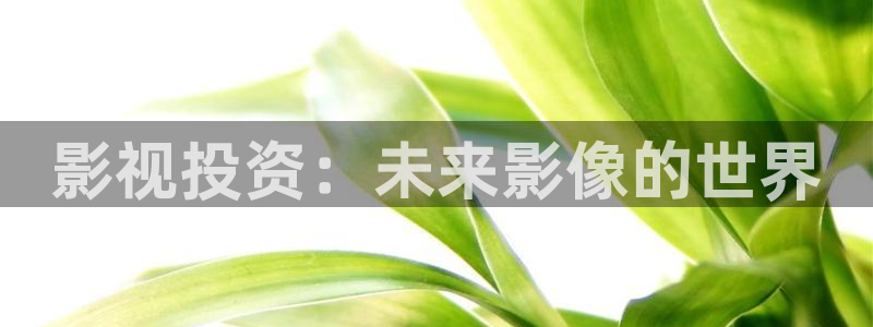 娄底大地影院：影视投资：未来影像的世界