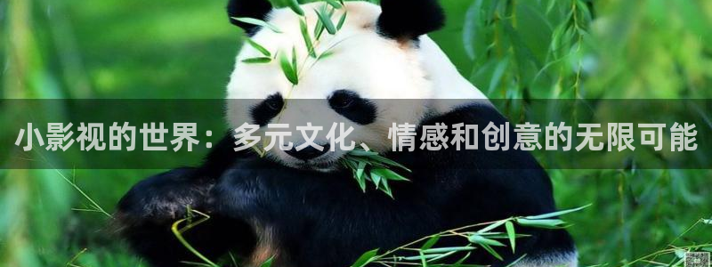 大地电影资源在线观看：小影视的世界：多元文化、情感和创意的无限可能