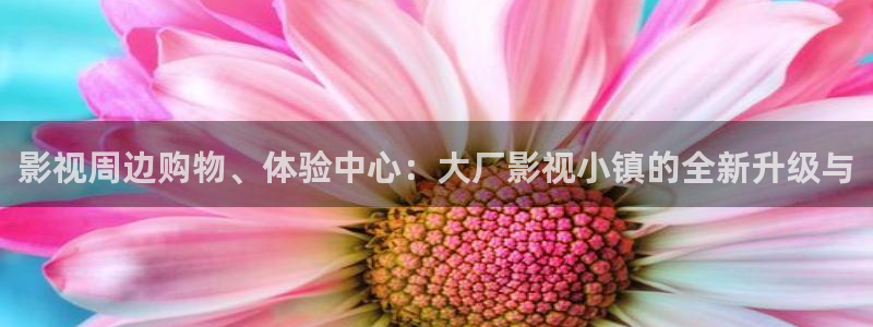 大地影视大全：影视周边购物、体验中心：大厂影视小镇的全新升级与