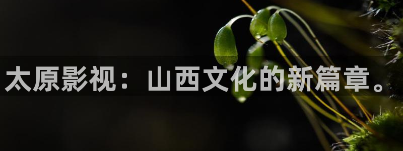 大地电影资源第二页：太原影视：山西文化的新篇章。