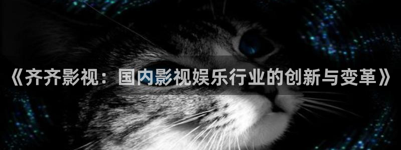 大地影城：《齐齐影视：国内影视娱乐行业的创新与变革》