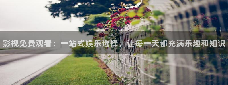 大地资源在线免费看：影视免费观看：一站式娱乐选择，让每一天都充满乐趣和知识