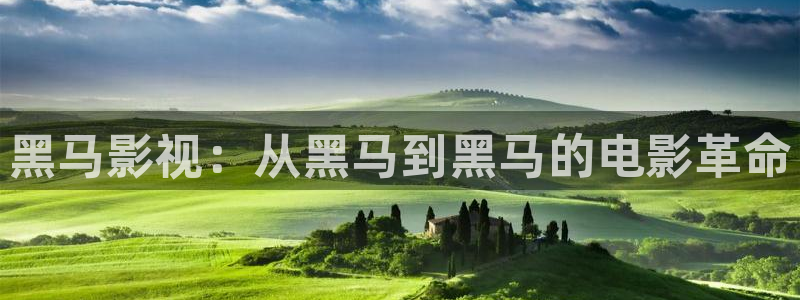 大地资源最新高清大全：黑马影视：从黑马到黑马的电影革命